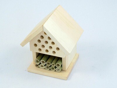 Ladybird and Insect Hotel