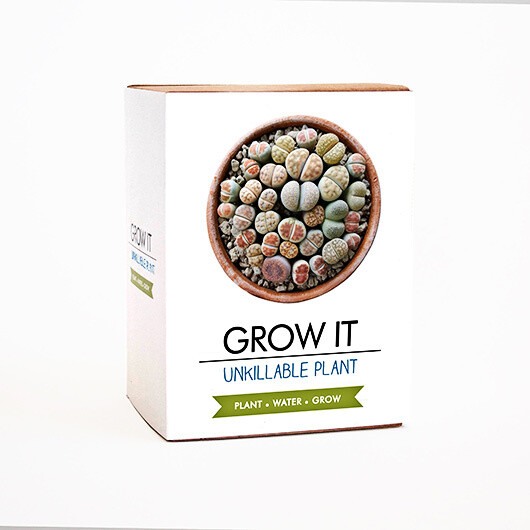 Grow It: Un-killable Plant