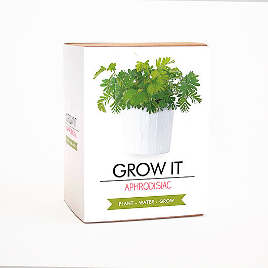 Grow It: Aphrodisiac Plant