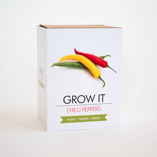 Grow It: Chilli Plants