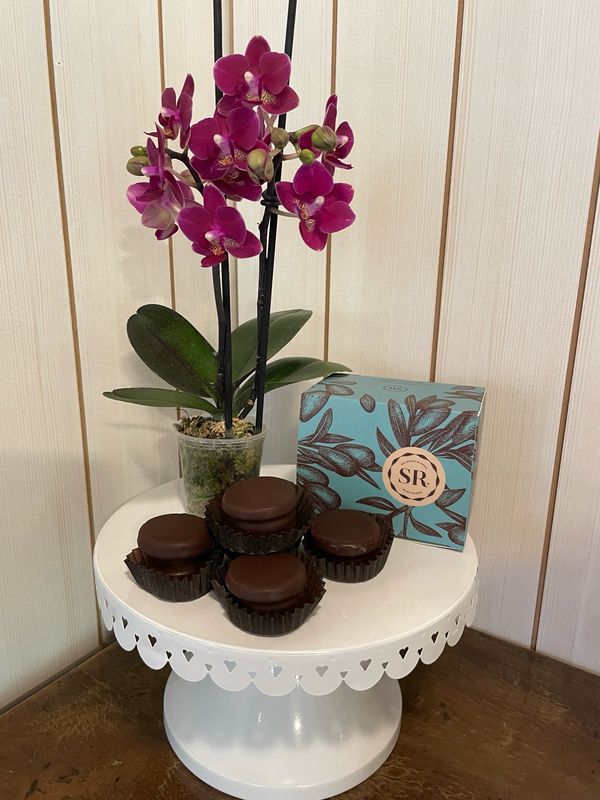 Caja de 5 alfajores de mazapán más una orquídea mini (color de acuerdo a disponibilidad del día de entrega)