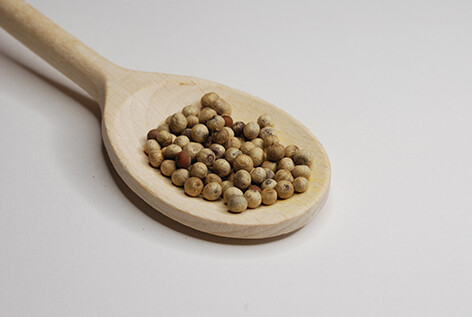 Poivre Blanc de Kampot - sachet de 100g