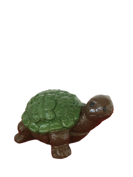 Kallmoor Turtle