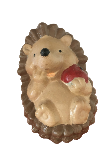 Kallmoor Hedgehog
