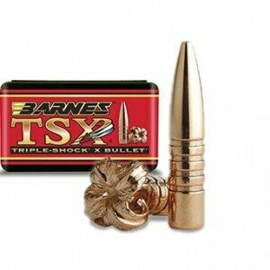 .243"  Barnes TSX BT  85 Grain
