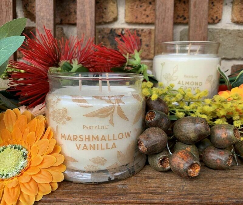 Almond Grove 3-Wick Jar