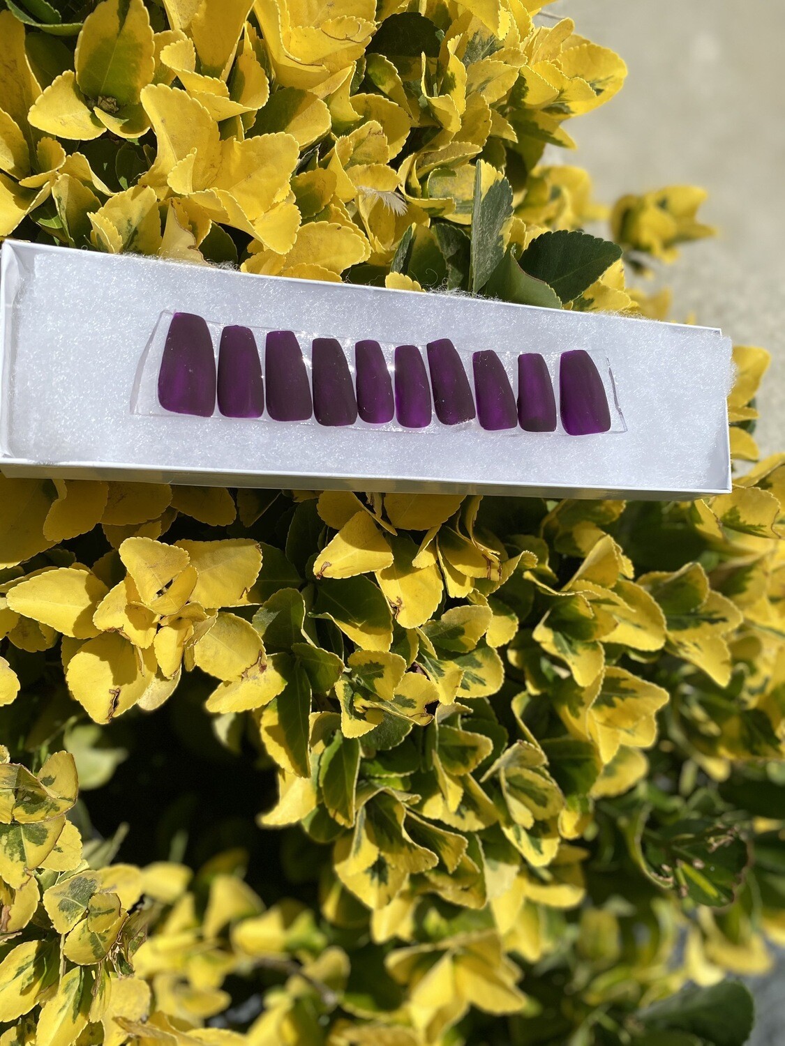 Dark Purple