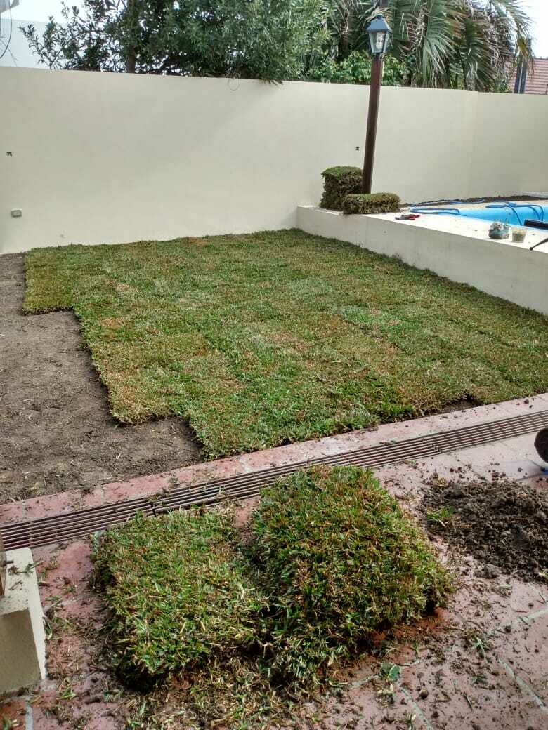 Colocación de Grama Bahiana