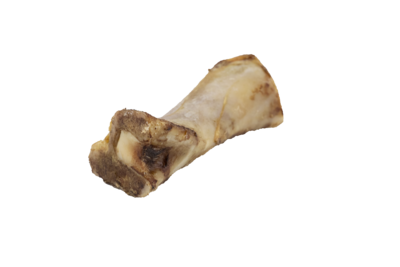 Bison Marrow Bone - 5-6"