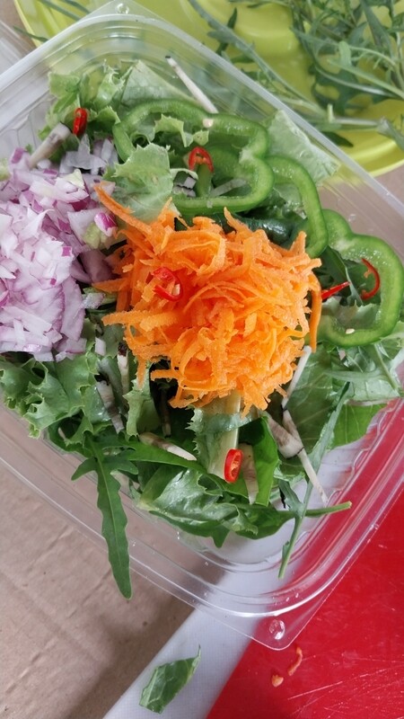 Fresh Salad Bowls