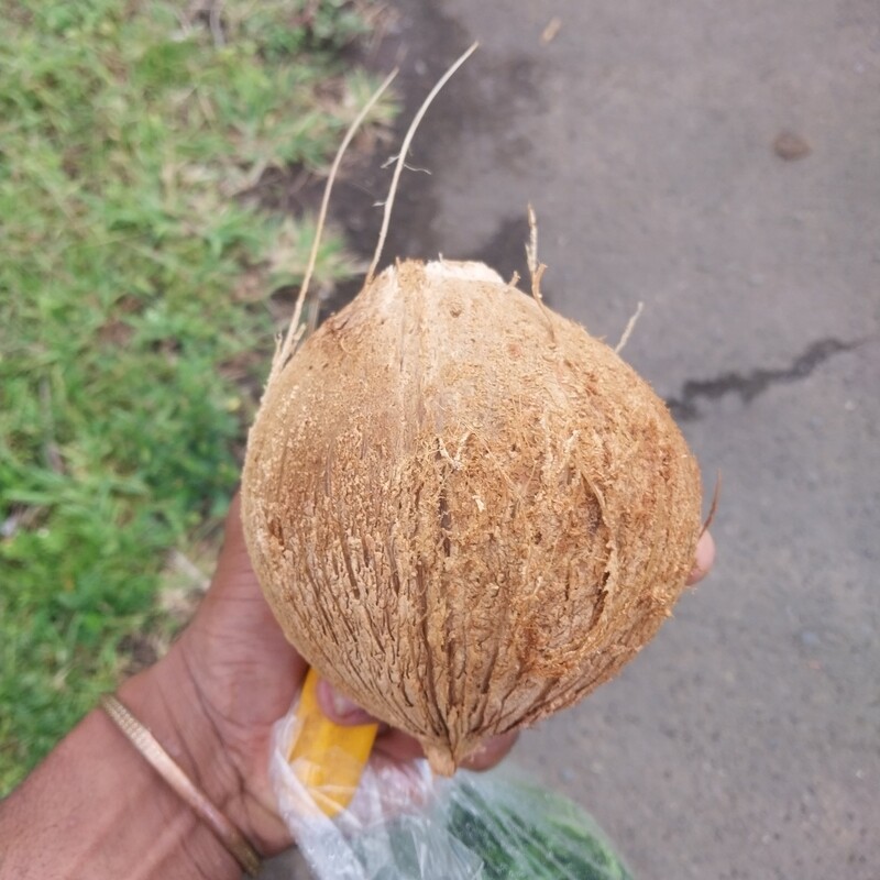 Dry Coconut