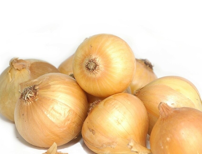 Yellow Onion