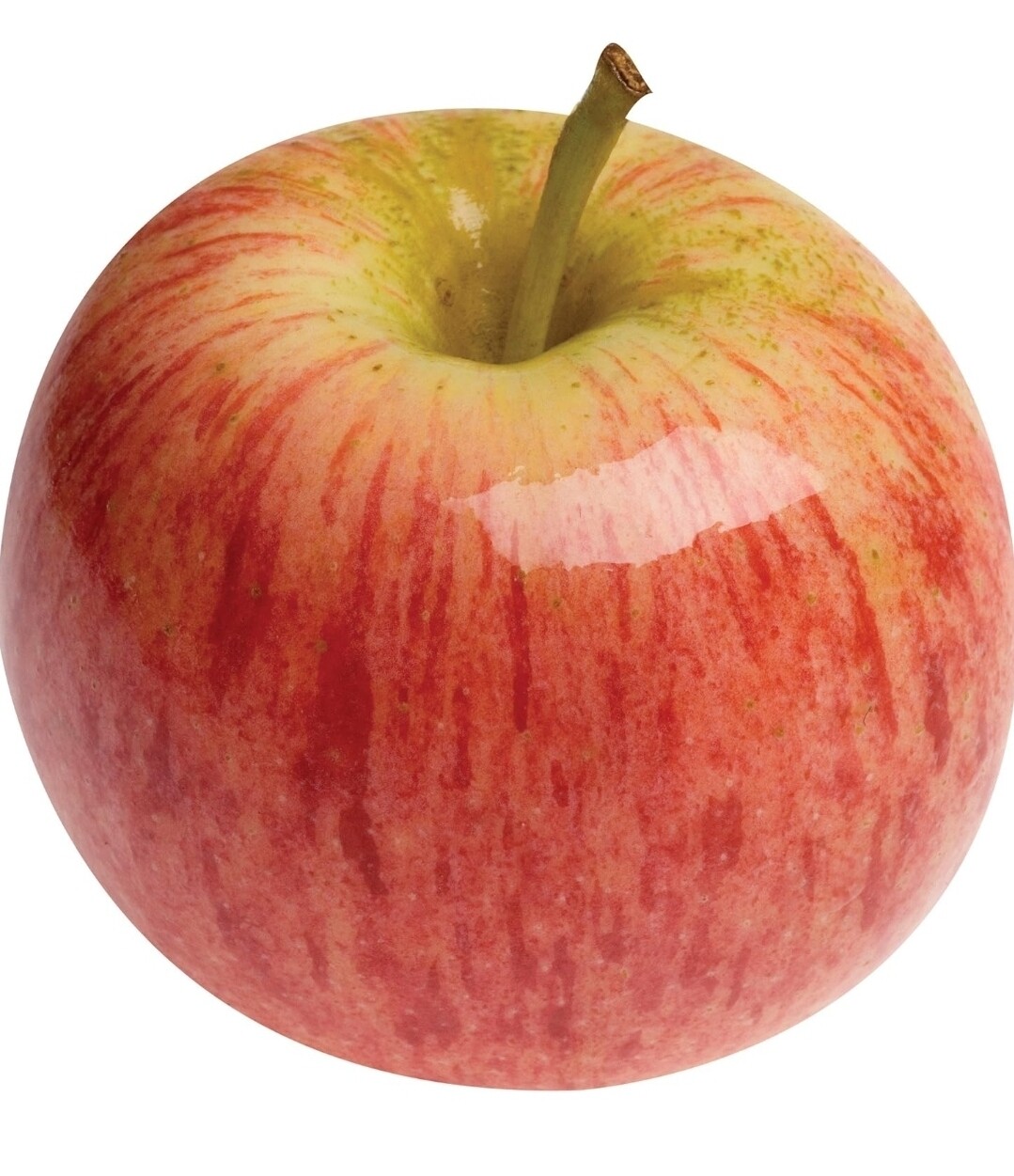 Gala Apple