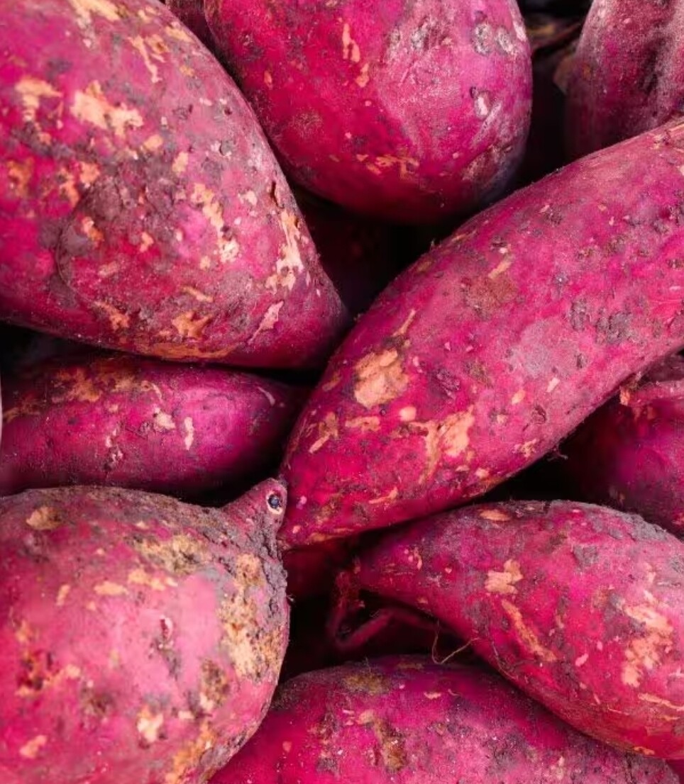 Sweet Potato