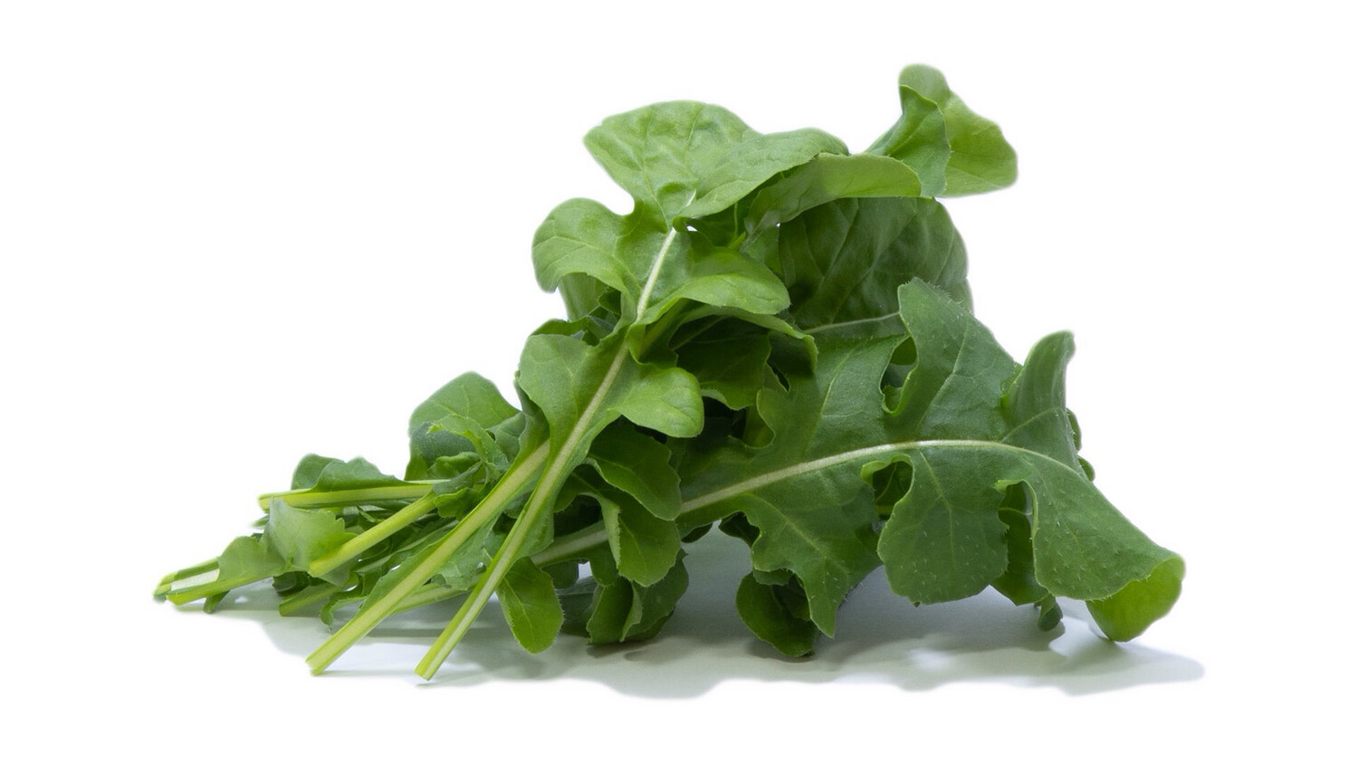 Arugula