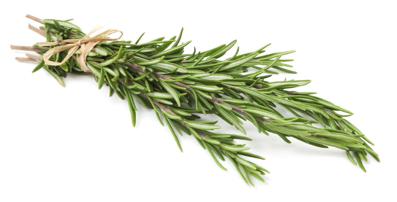 Fresh Rosemary