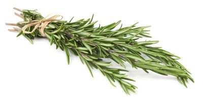 Fresh Rosemary