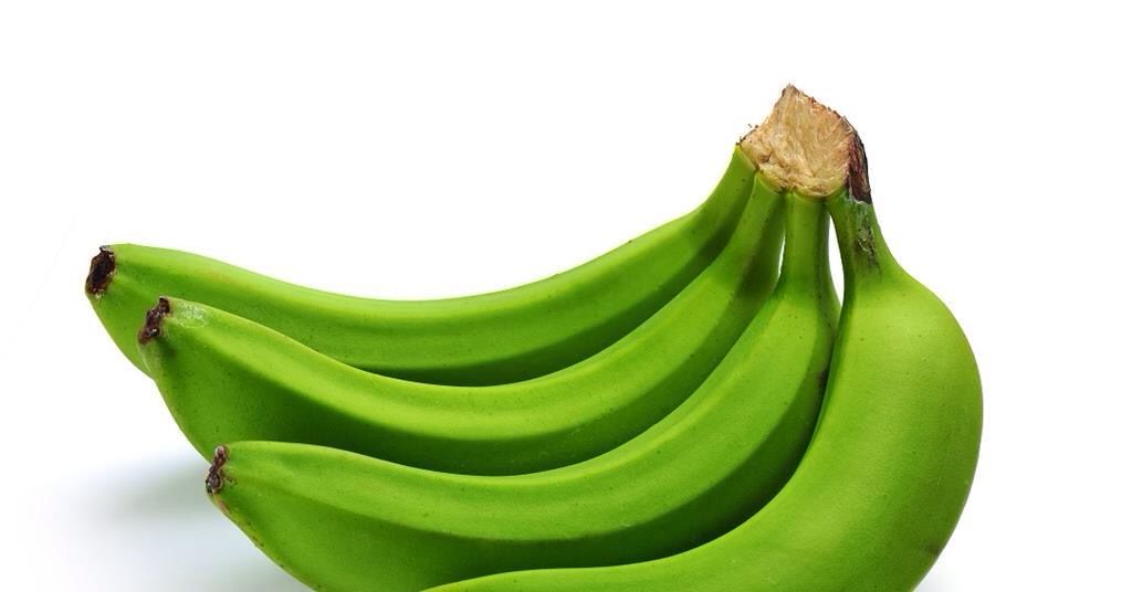 Green Cooking Banana (2lbs)