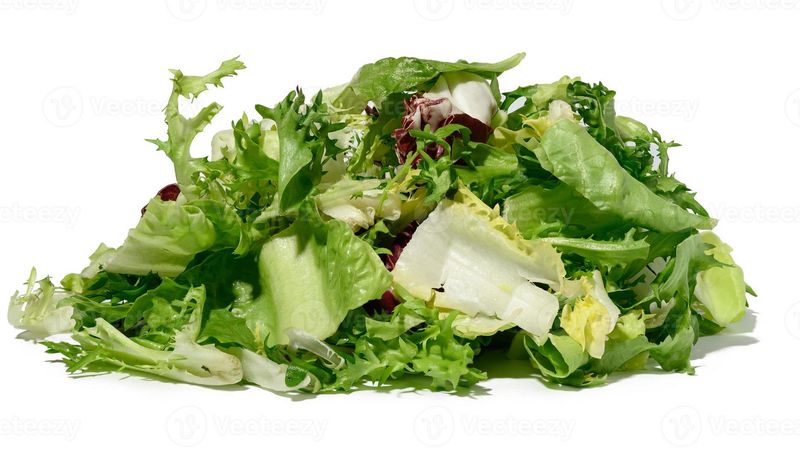 Chopped Salad Bag