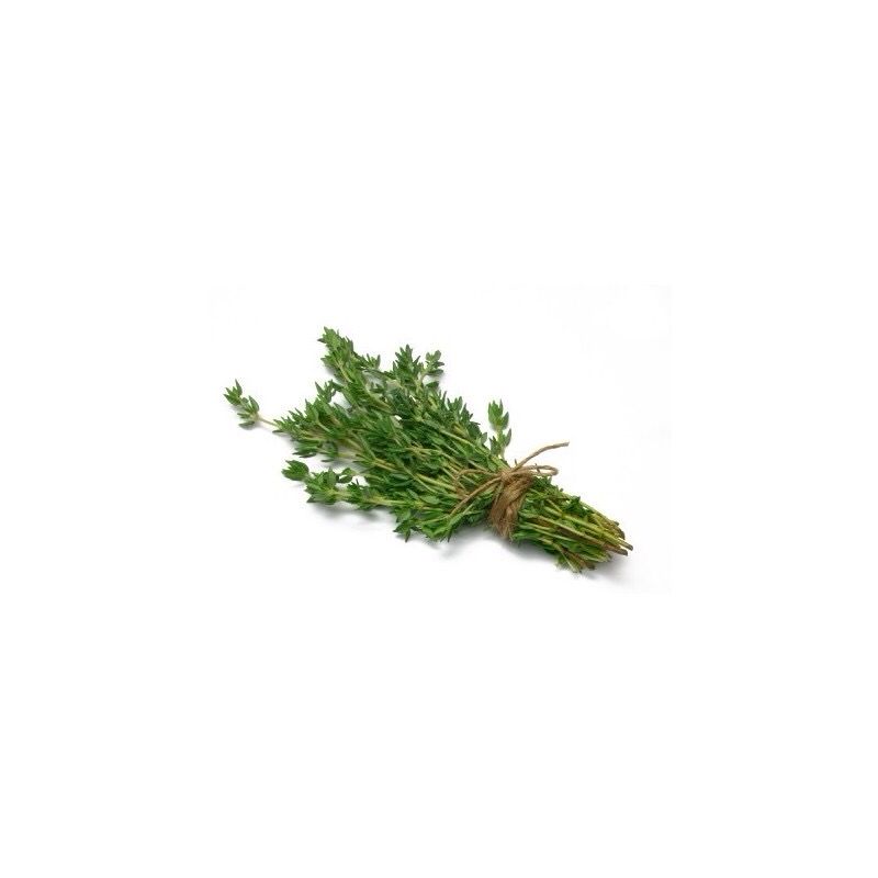 Fine Thyme