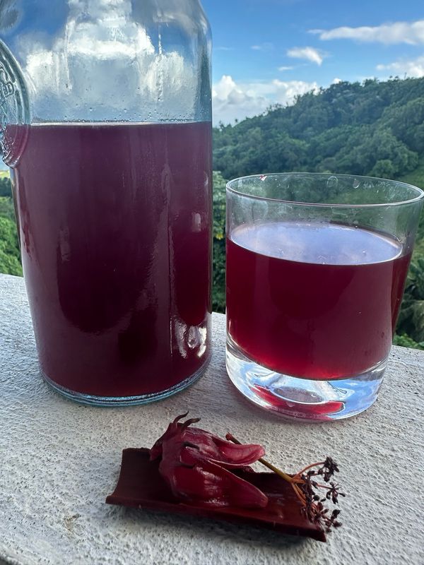 Sorrel &amp; Ginger Juice (500ml)