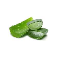 Aloe Vera (lb)