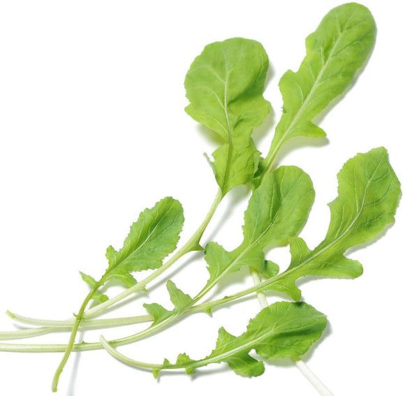 Chopped Arugula &amp; Rocket