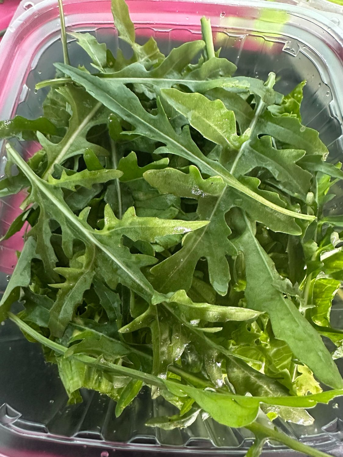 Spring Salad