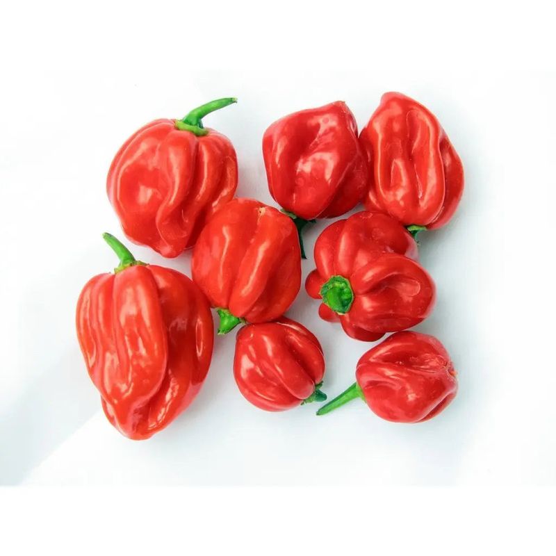 Hot pepper
