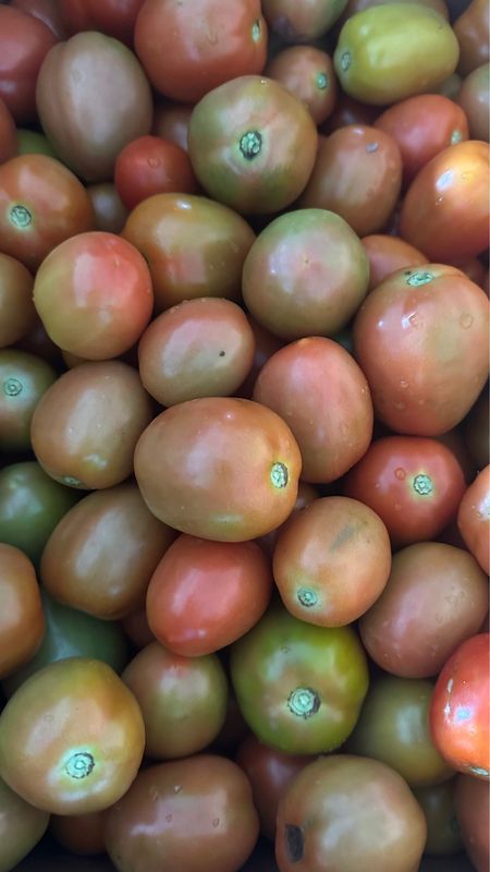 Wholesale Veggies
