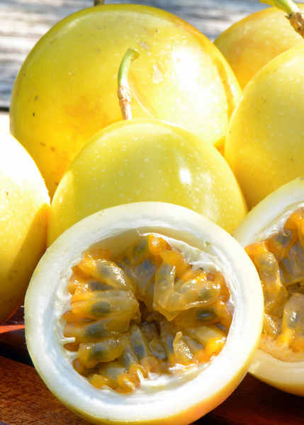 Passion Fruit (lb)