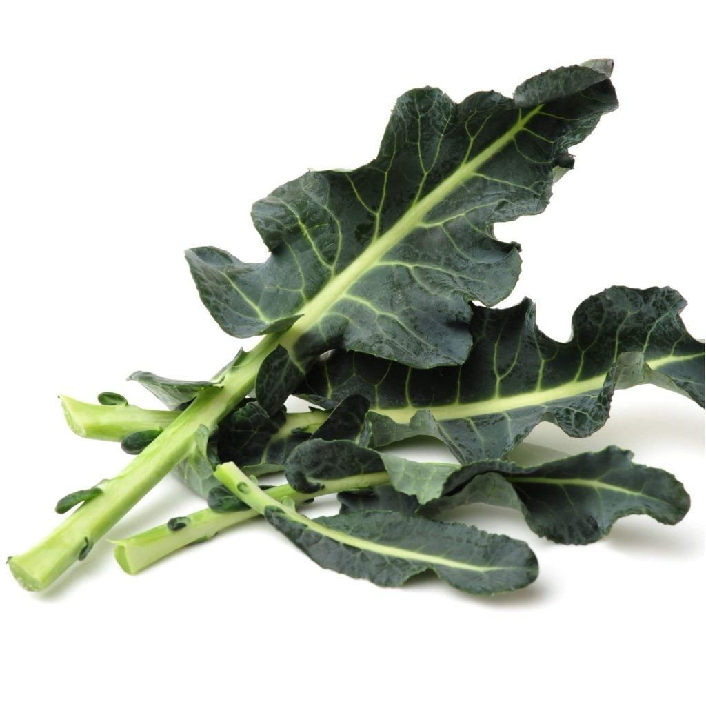Broccoli Leaf