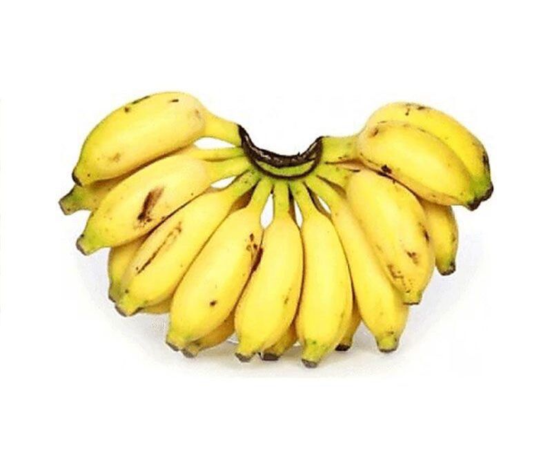 Fig Banana (LB)