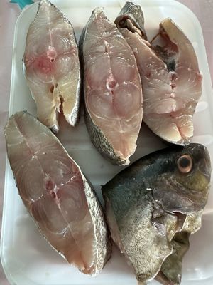Cavalli Fish