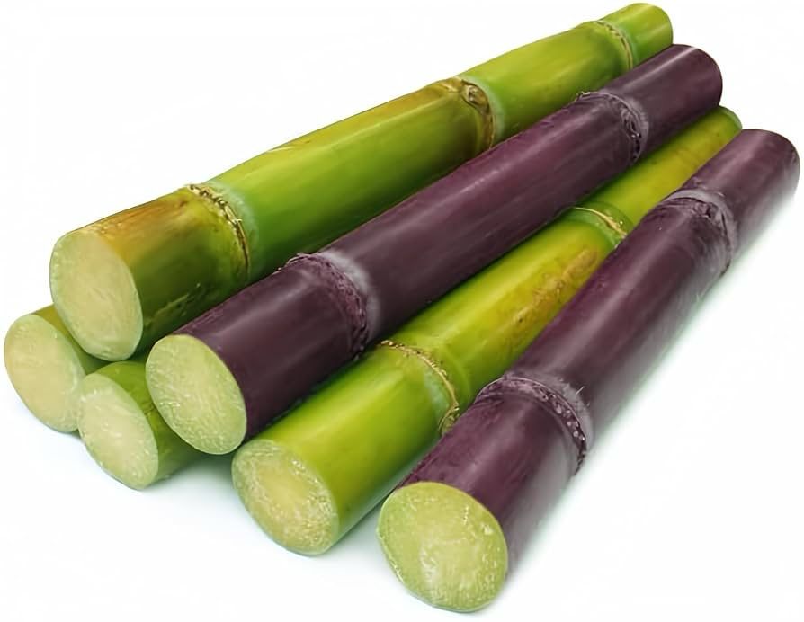 Fresh Sugar Cane (2lb)