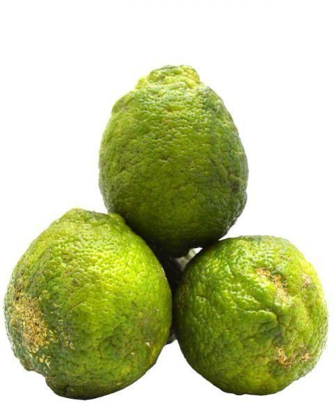 Rough Skin Lemon (3)