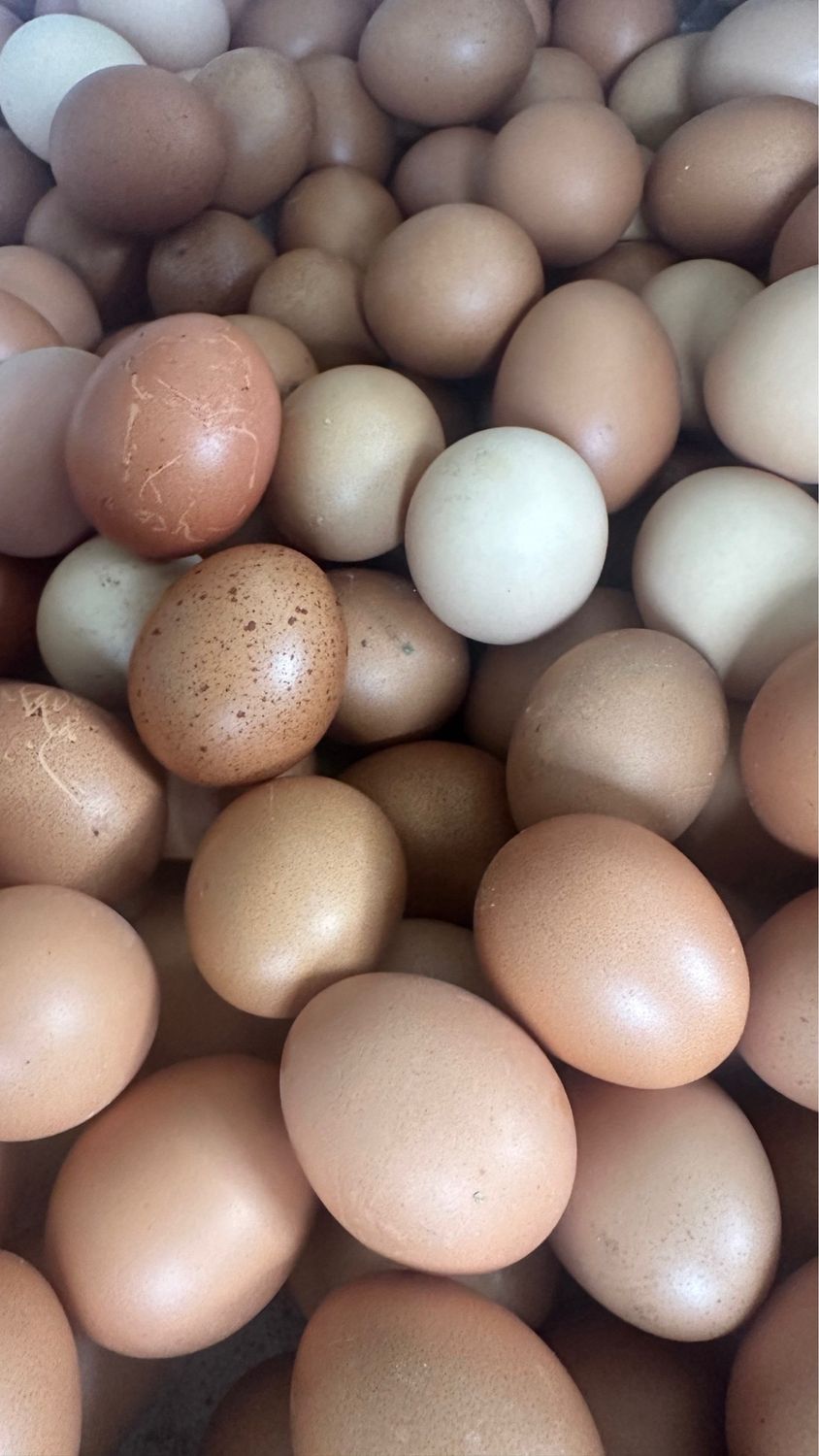 Local Eggs (30 - Flat)