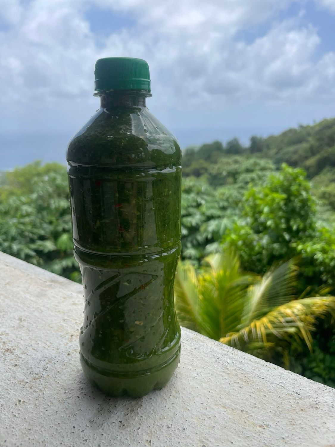 Green Seasoning (500 ml)