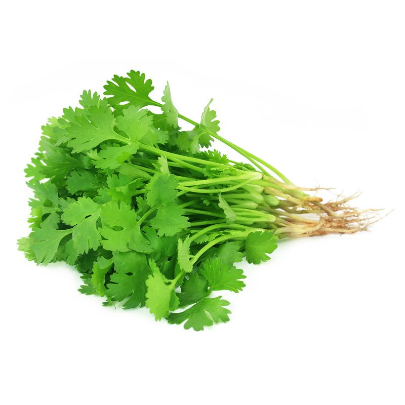 Coriander/Cilantro