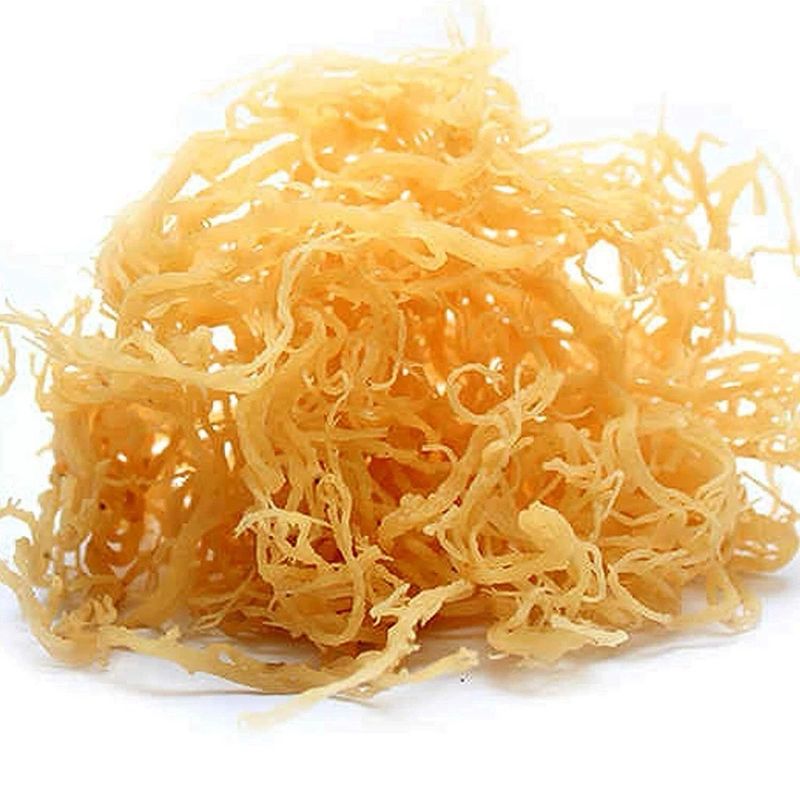 Seamoss Gel (226g) (Half Pound)