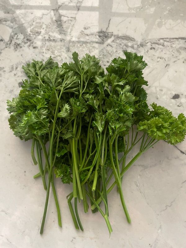 Parsley (curly)
