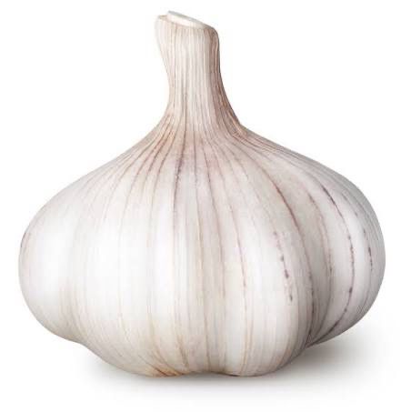 Garlic Bulb (5)