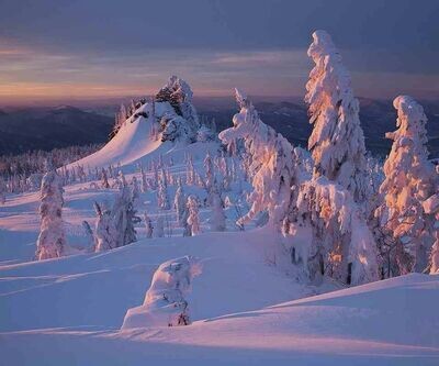 Winter