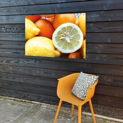 Tuinposter lemons and orange 90 x 70 cm.