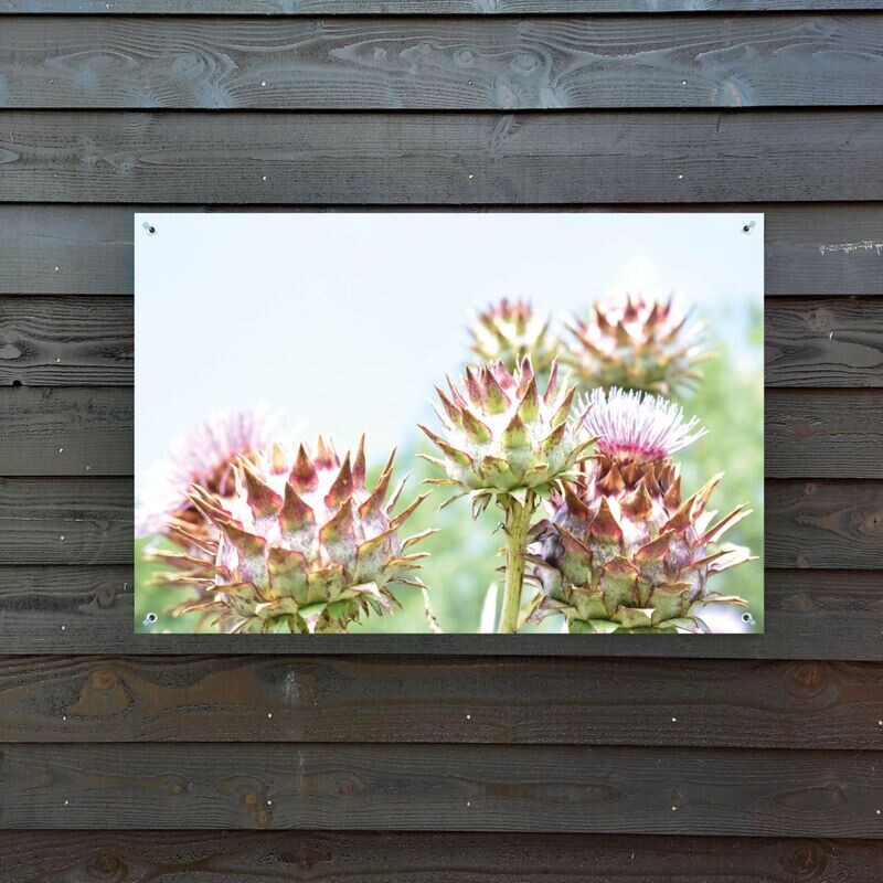 Tuinposter flowers / bloemen 120 x 80 cm.