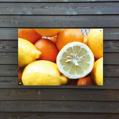Tuinposter lemons and orange 120 x 80 cm.