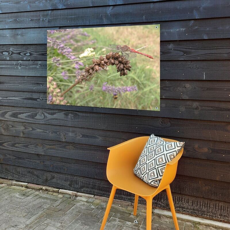 Tuinposter libelle 90 x 70 cm.