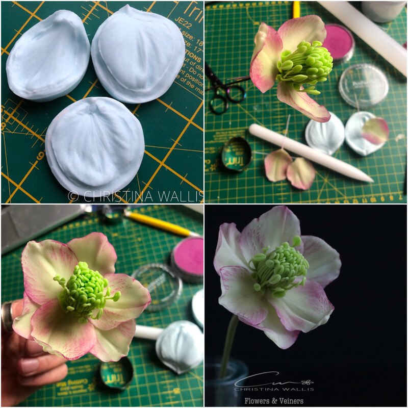 HELLEBORE / Winter Rose  3 X Veiner Set + Cutters  (Optional)