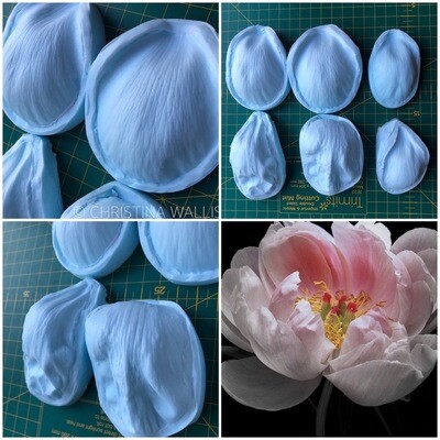 Coral PEONY Veiner Set of 6 or 3 + Cutters ( Optional )