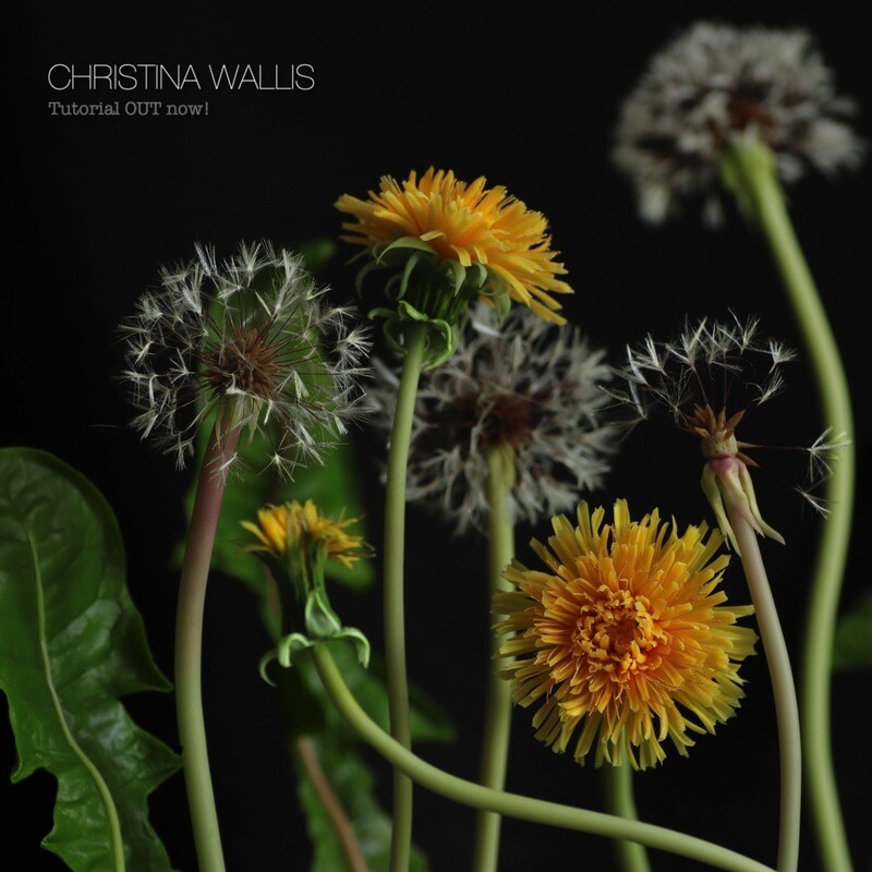 TUTORIAL: DANDELION Flower £40.00